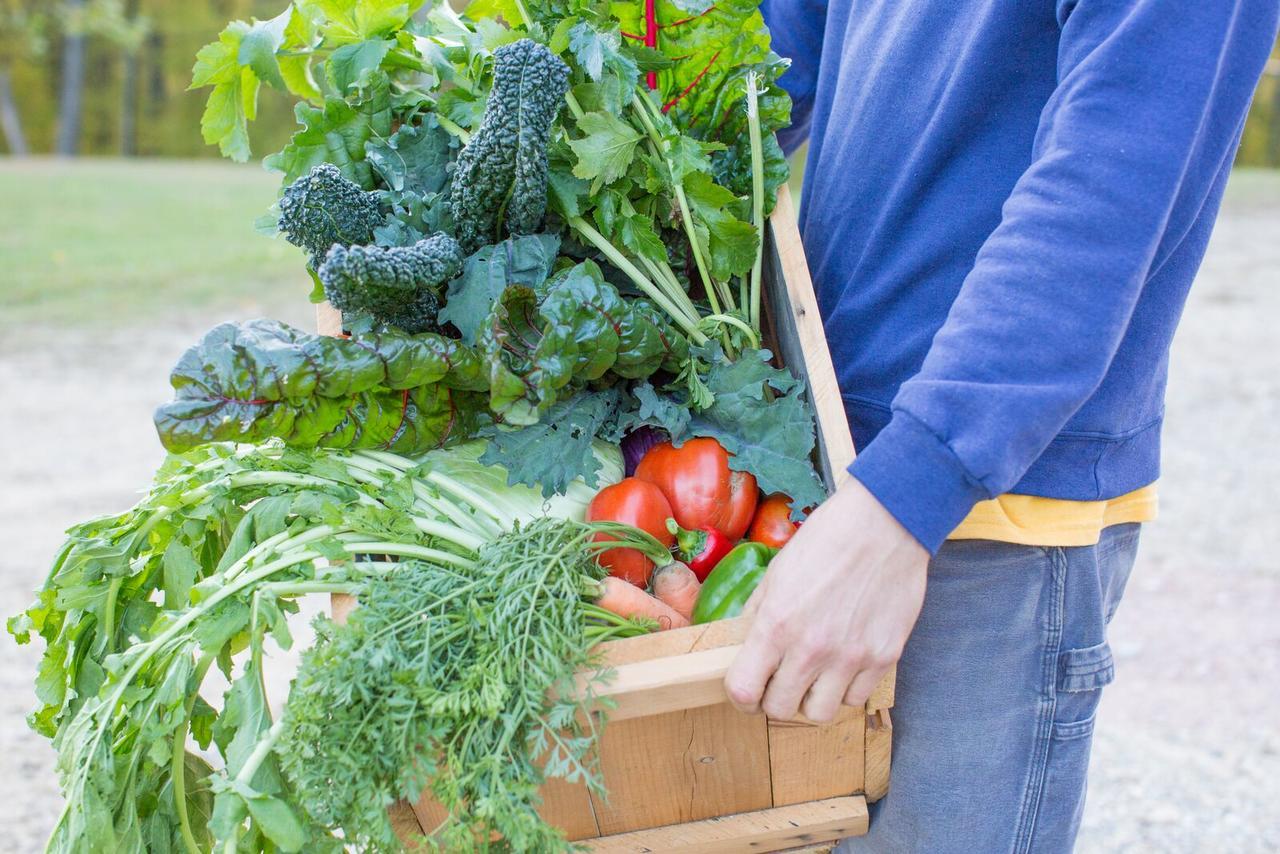 Woodstock Sustainable Farms Βίλα Δωμάτιο φωτογραφία