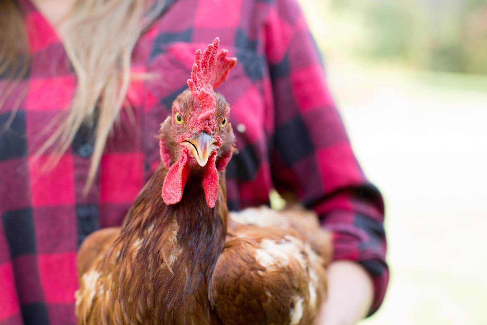 Woodstock Sustainable Farms Βίλα Εξωτερικό φωτογραφία
